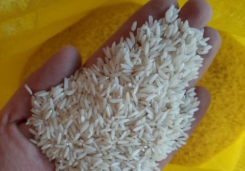قیمت برنج شمالی ارزان + خرید باور نکردنی
